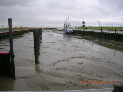 DSCN1434.JPG
