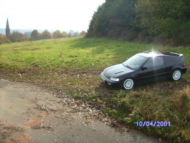 xumblqyptw6w83n9005xuzx05ym.jpg