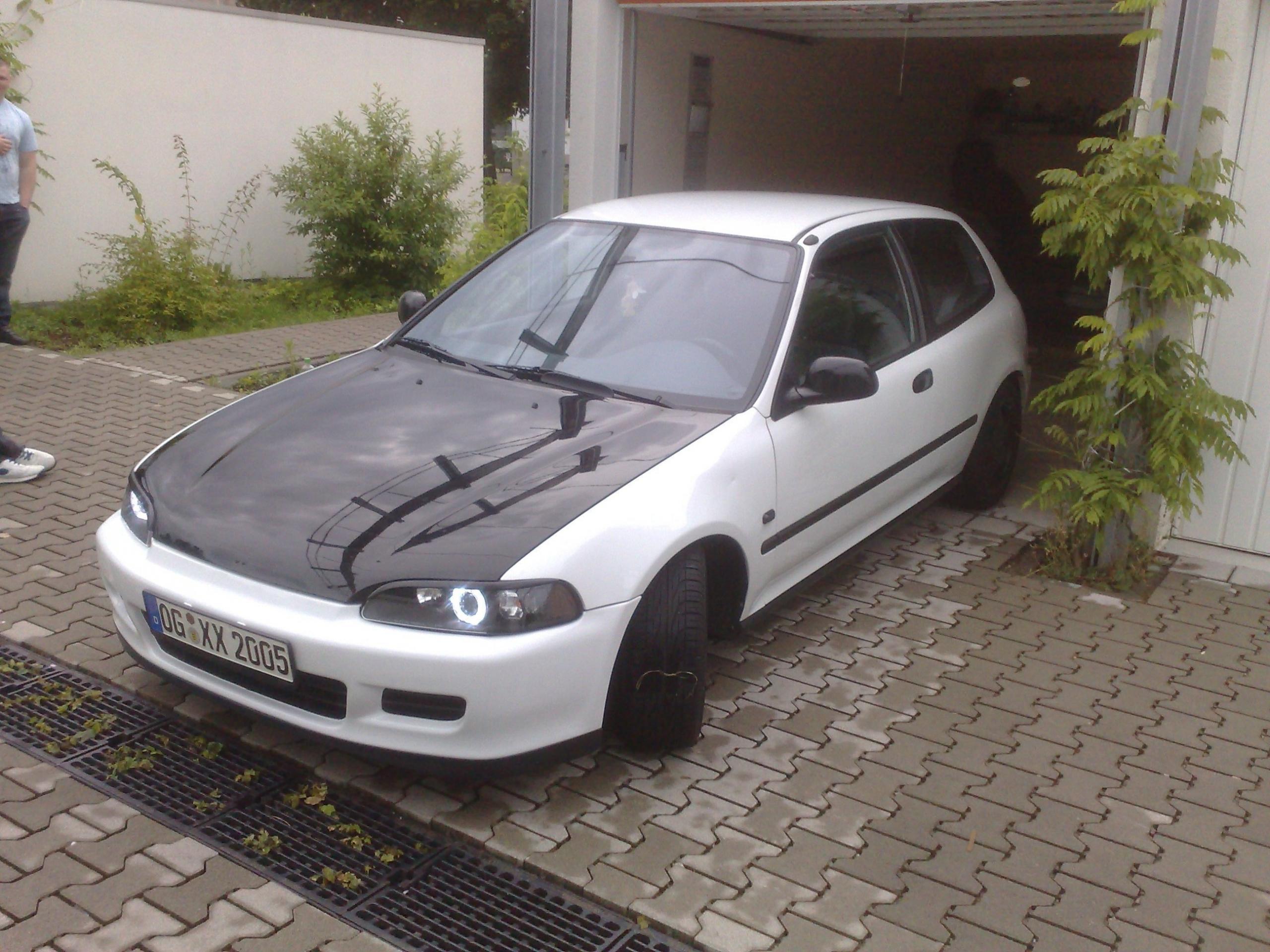 26052009050.jpg