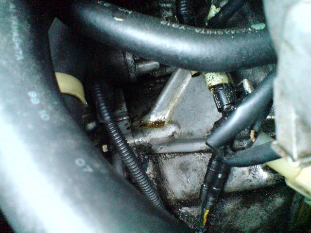 crx2.jpg