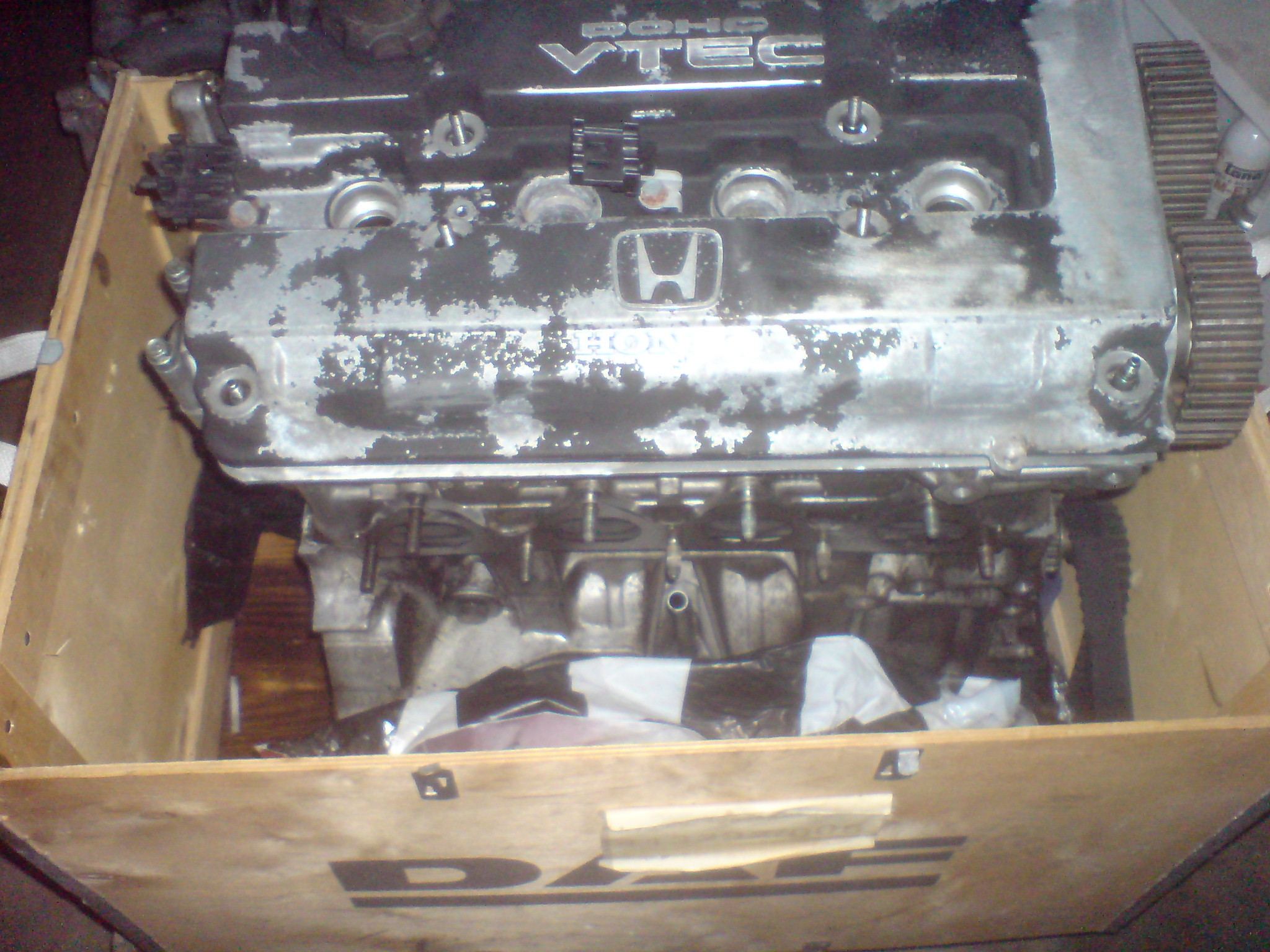 DSC00742.JPG