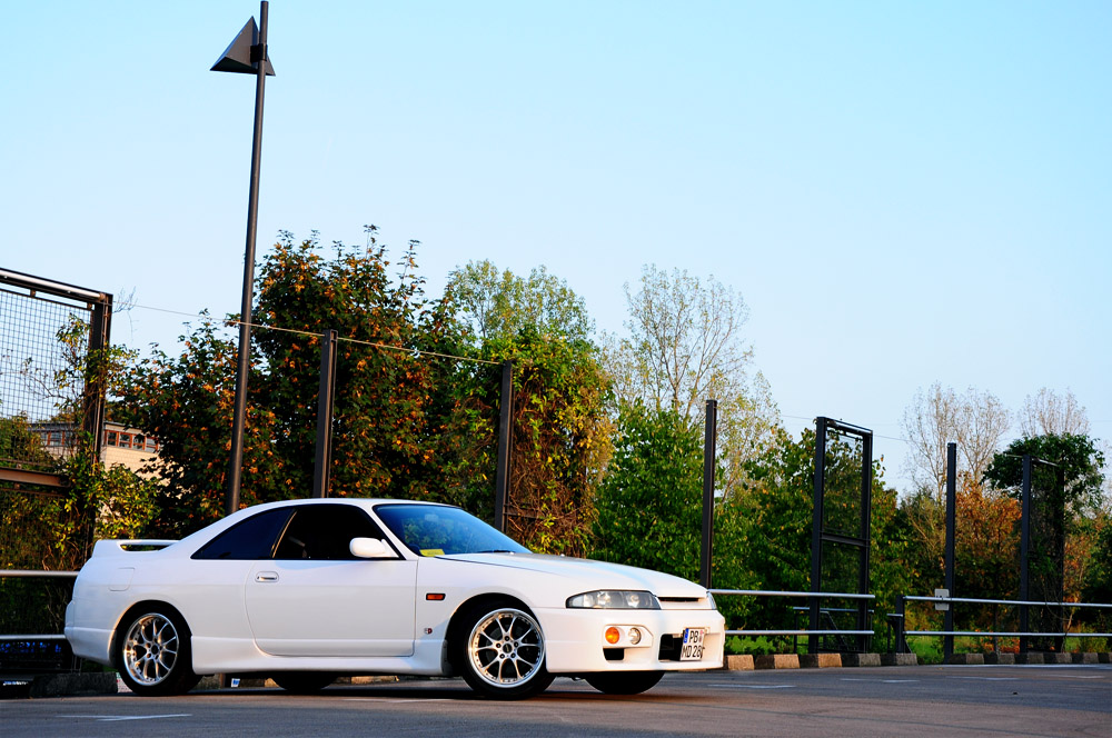 dsc1502e.jpg