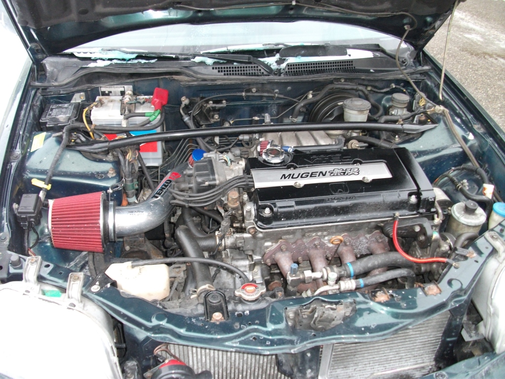 DSCF0136.JPG