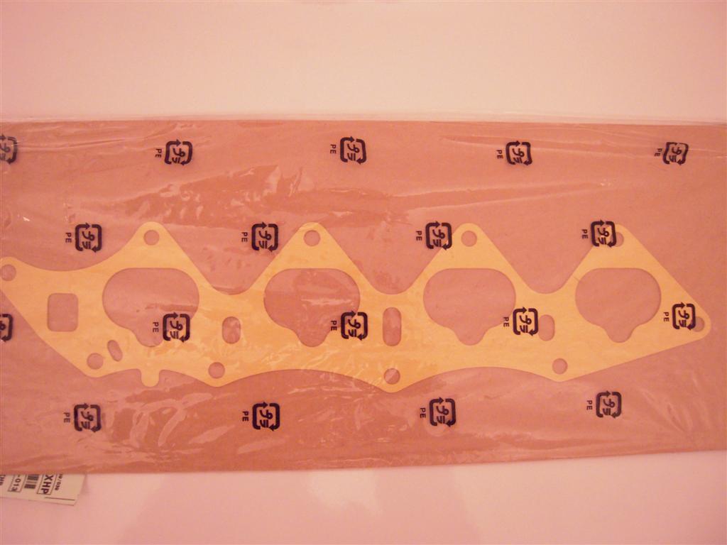 DSCN3328 (Large).JPG