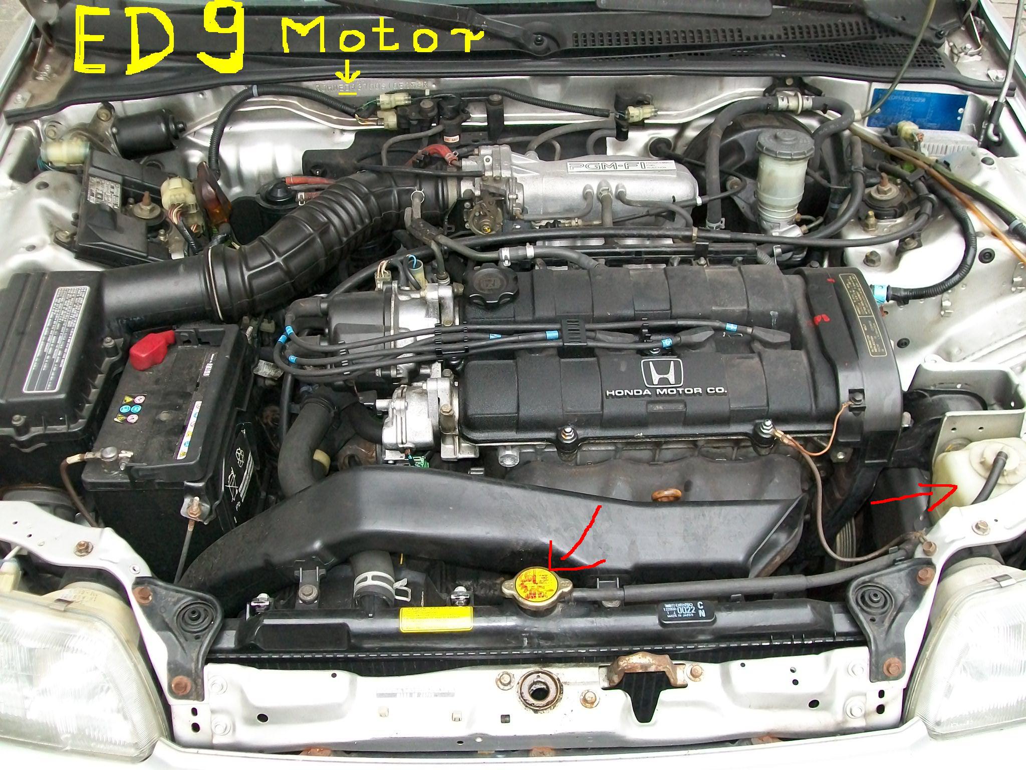 ed9-motor-683.JPG