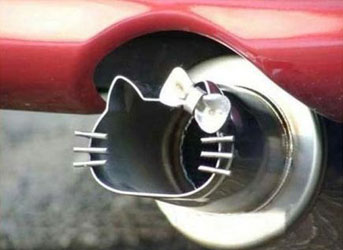 KittyMuffler.jpg