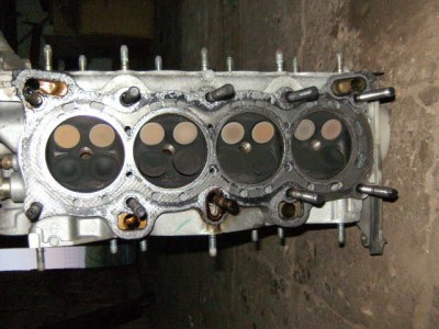 BILD0149.JPG