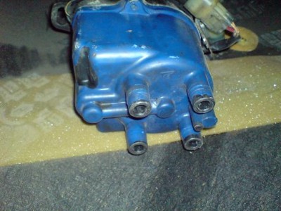 d16z6.jpg