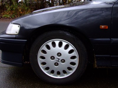 DSCF6491.JPG