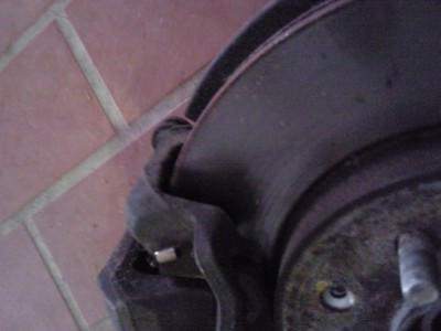 Foto011.jpg