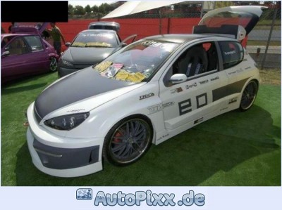 peugeot-206.jpg