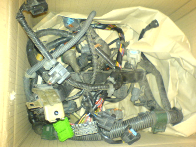 DSC01117.JPG
