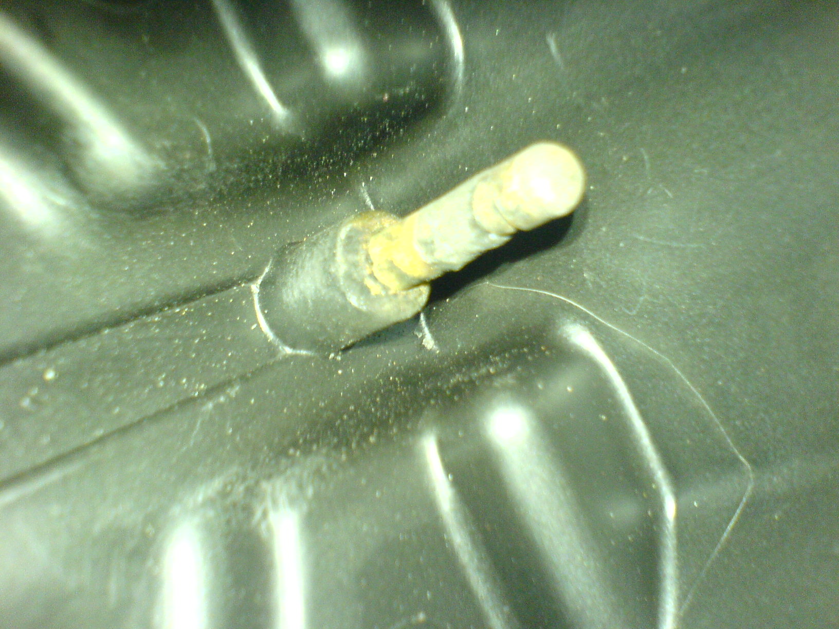 DSC02564.JPG