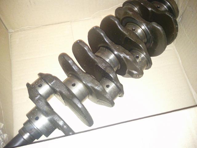 Foto0006.jpg