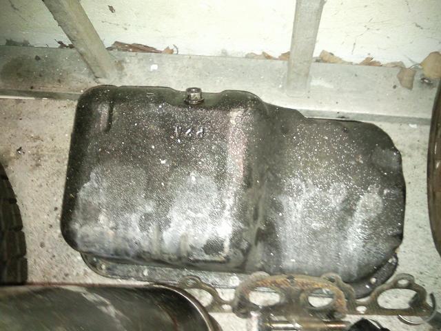 Foto0074.jpg