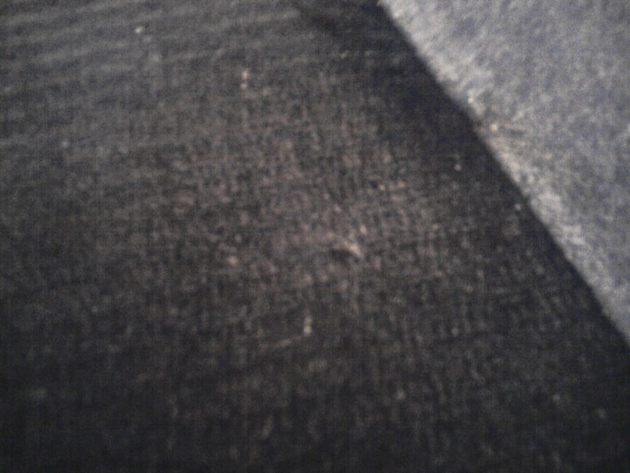 Foto0104.jpg