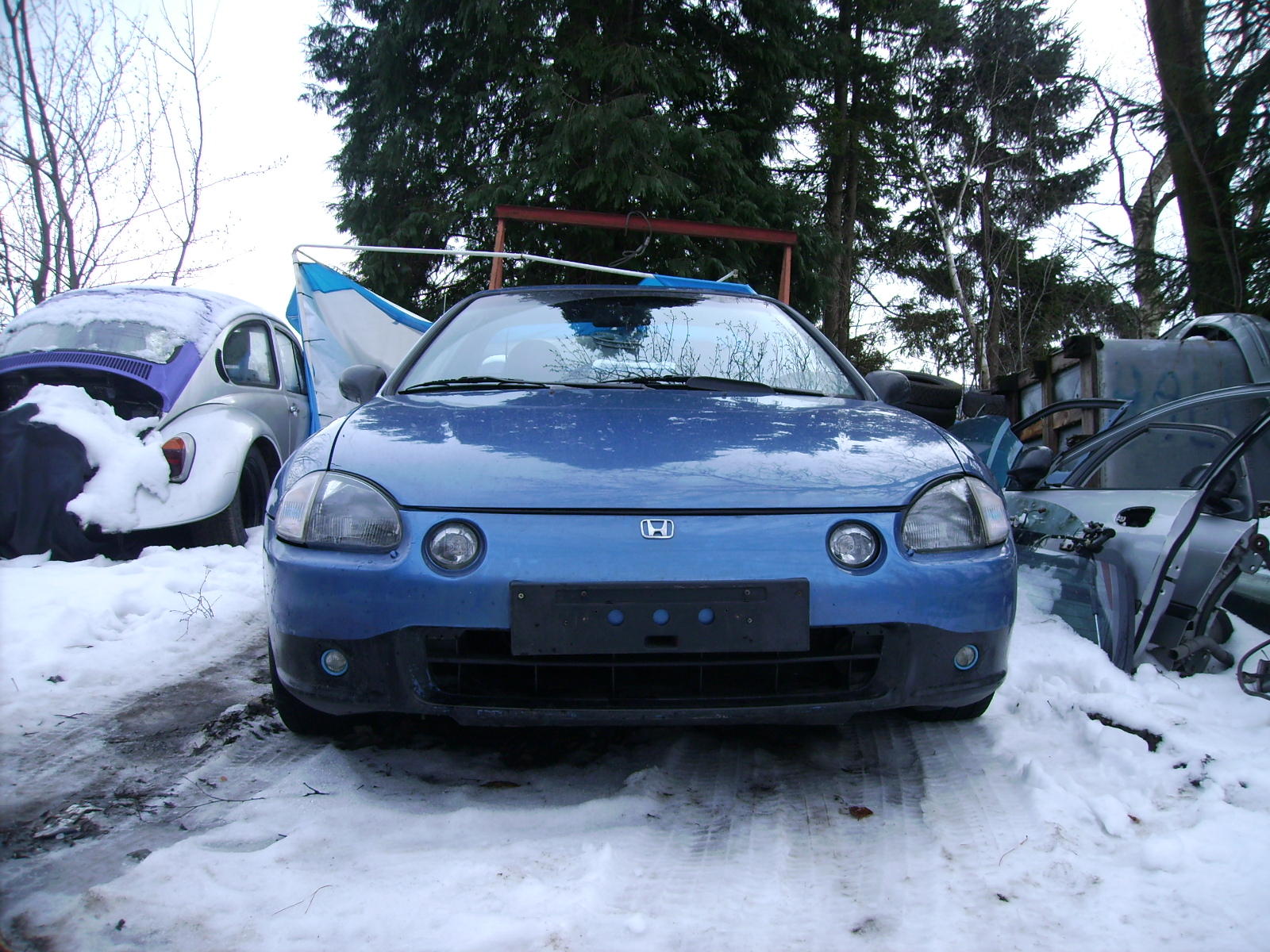 PICT0107.JPG