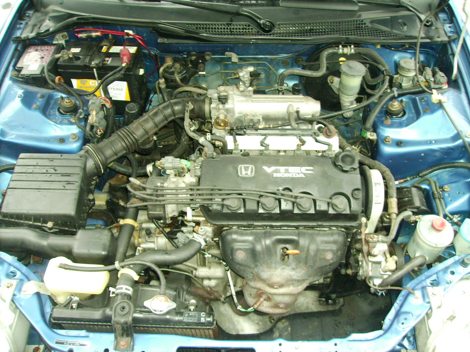 PICT0117.JPG