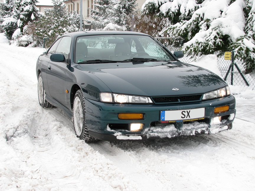 Snowy.jpg