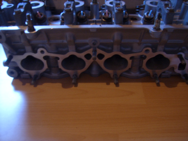 SUC51713.JPG