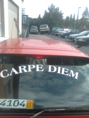 Bild0017.jpg