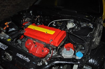 DSC_00310.jpg