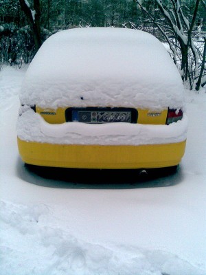 Schnee2010.jpg