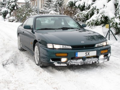 Snowy.jpg