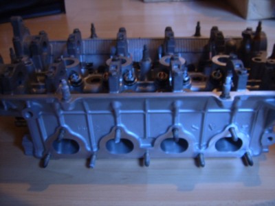 SUC51712.JPG