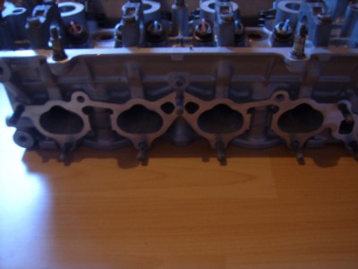 SUC51713.JPG
