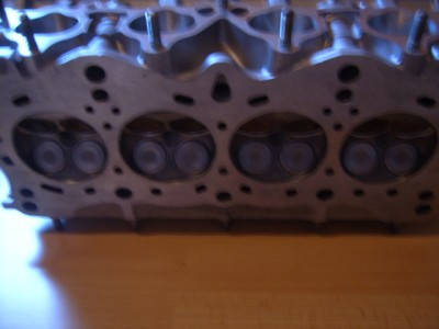 SUC51714.JPG