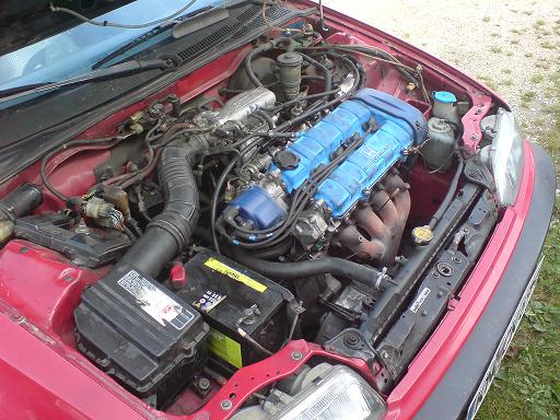 117_1264946793.jpg