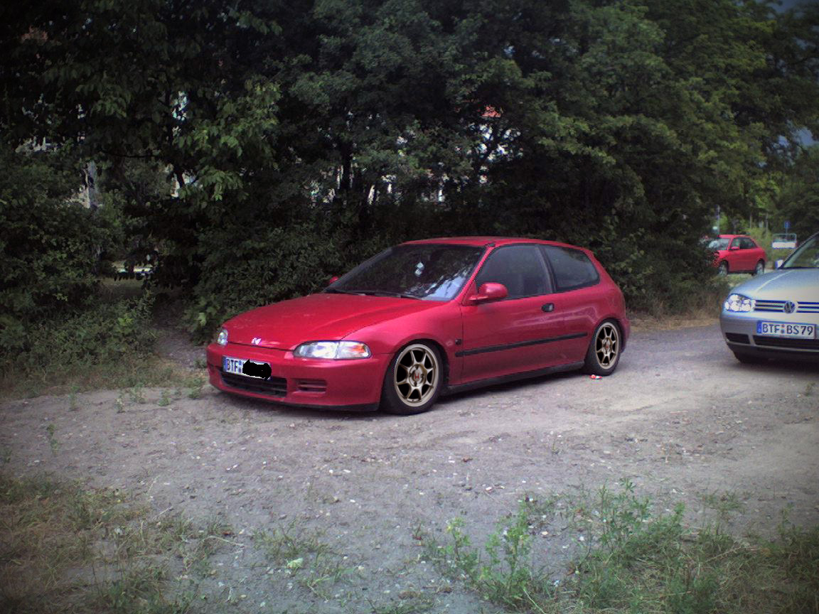 93547123v1.jpg