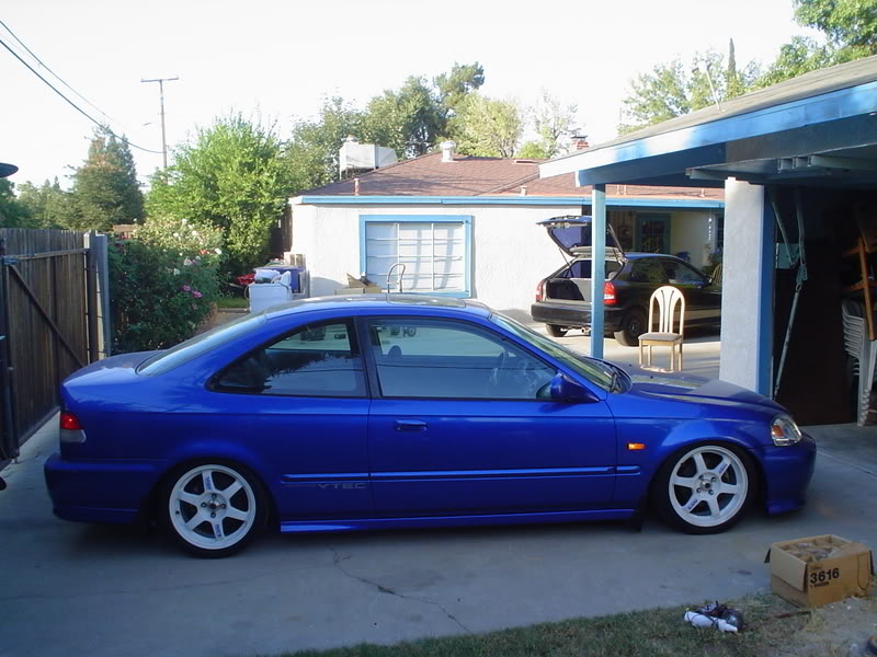 bluesiwhitete37s.jpg