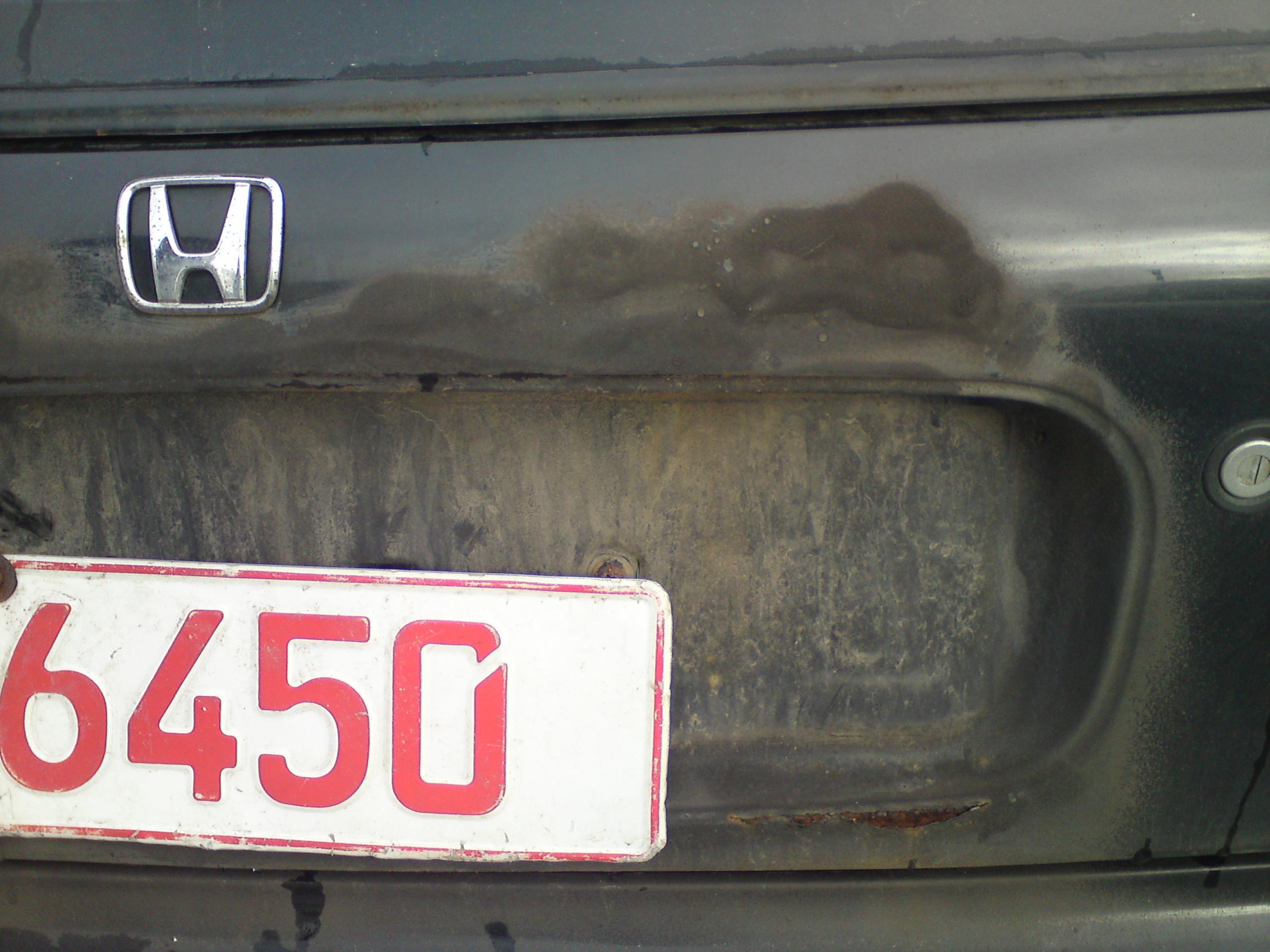 DSC00178.JPG