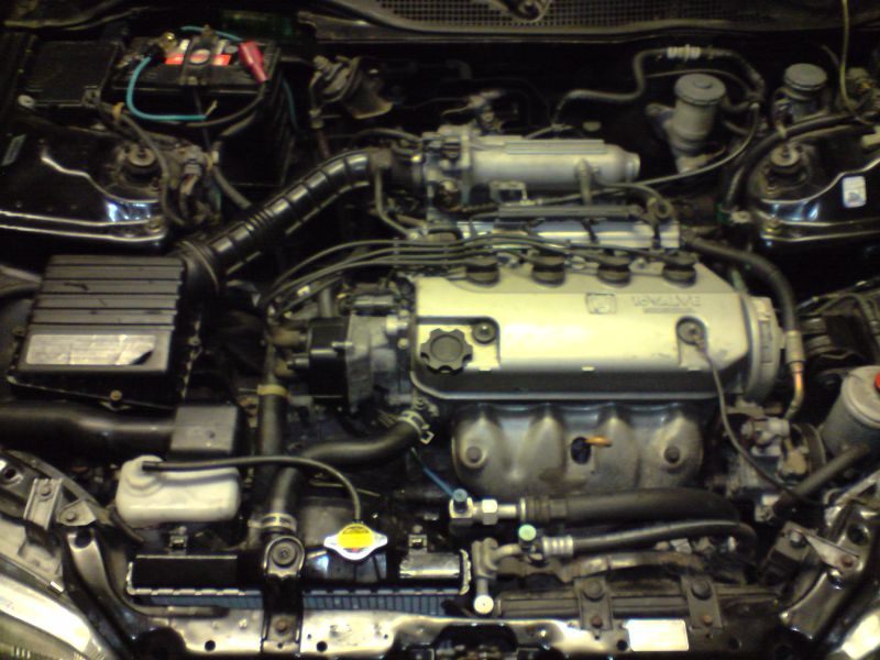 honda.jpg