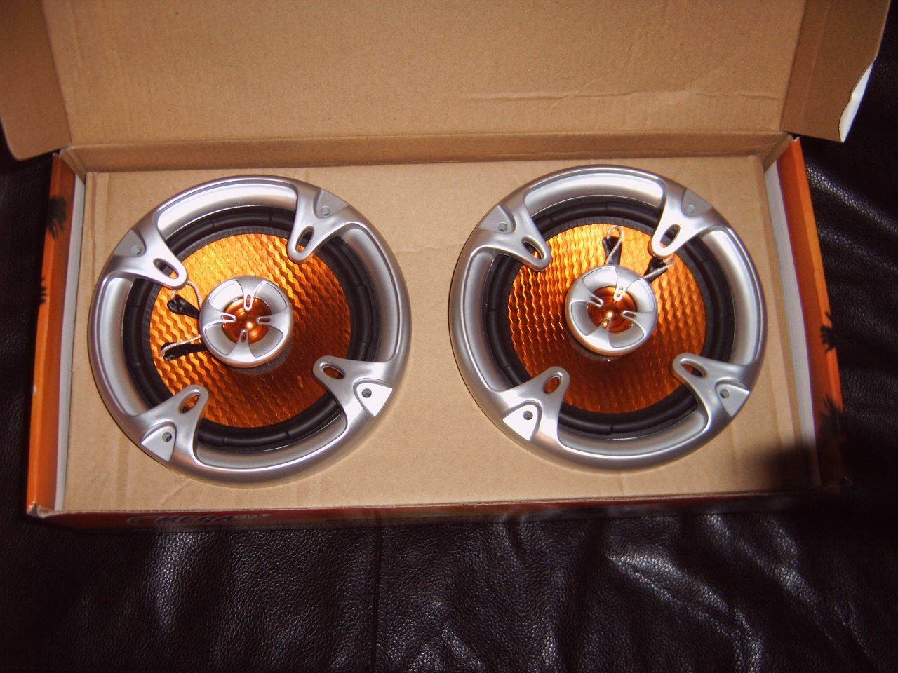 IMG00116.JPG