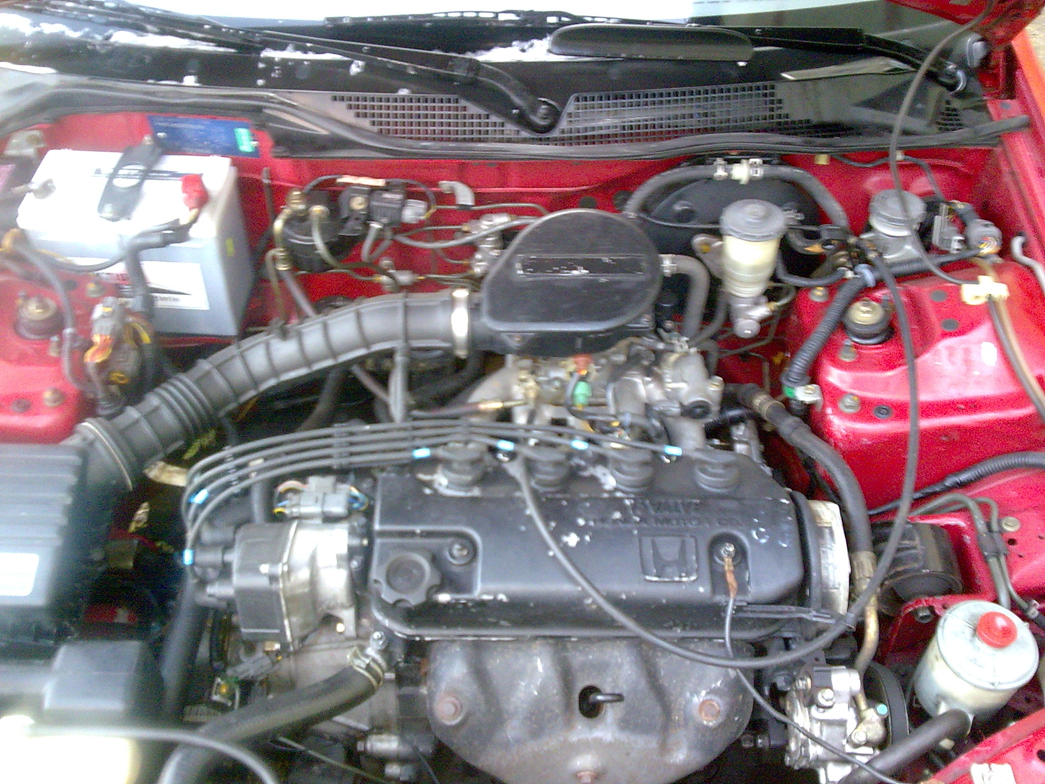o55081j126.jpg