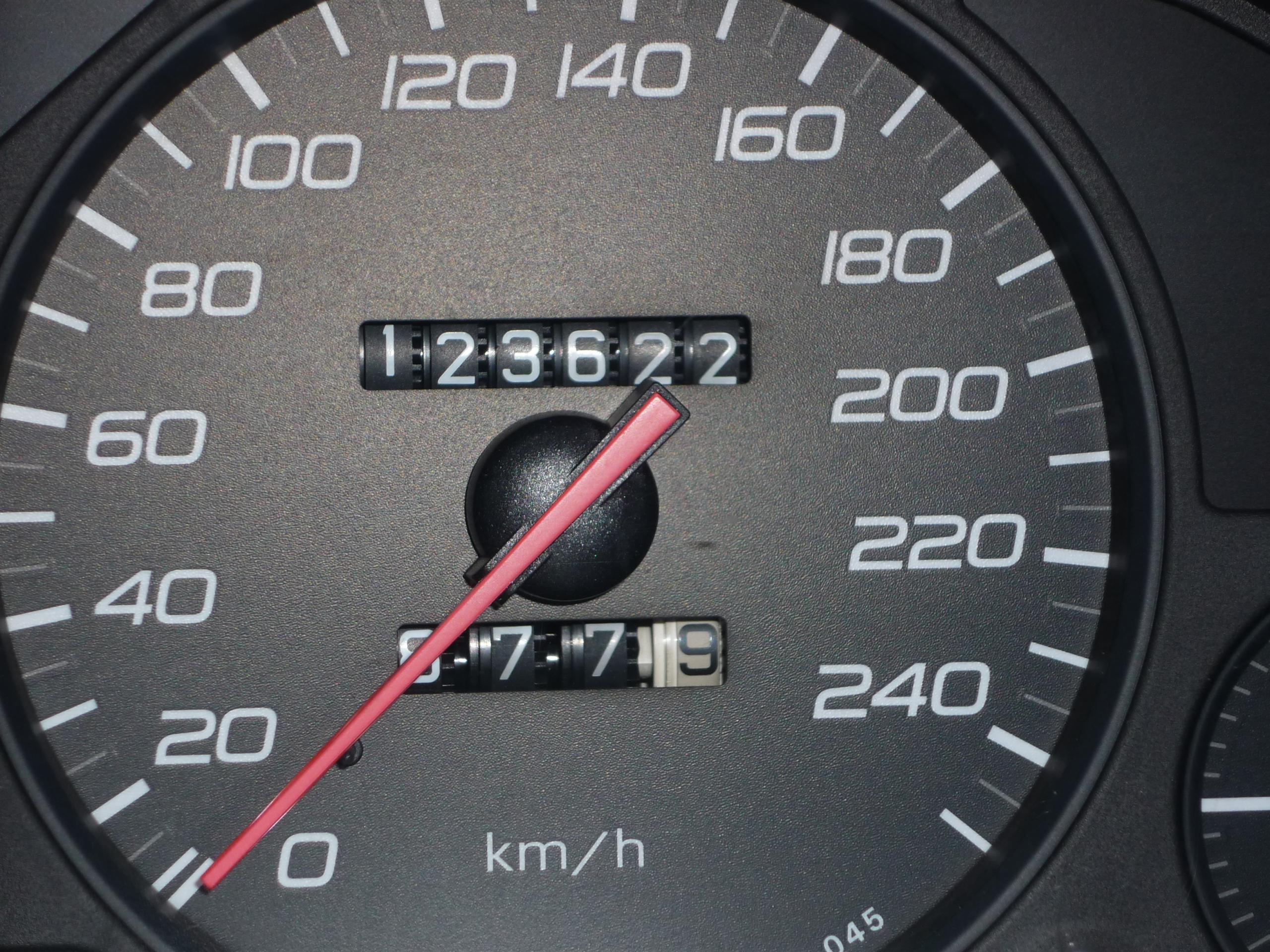 P1000424.JPG