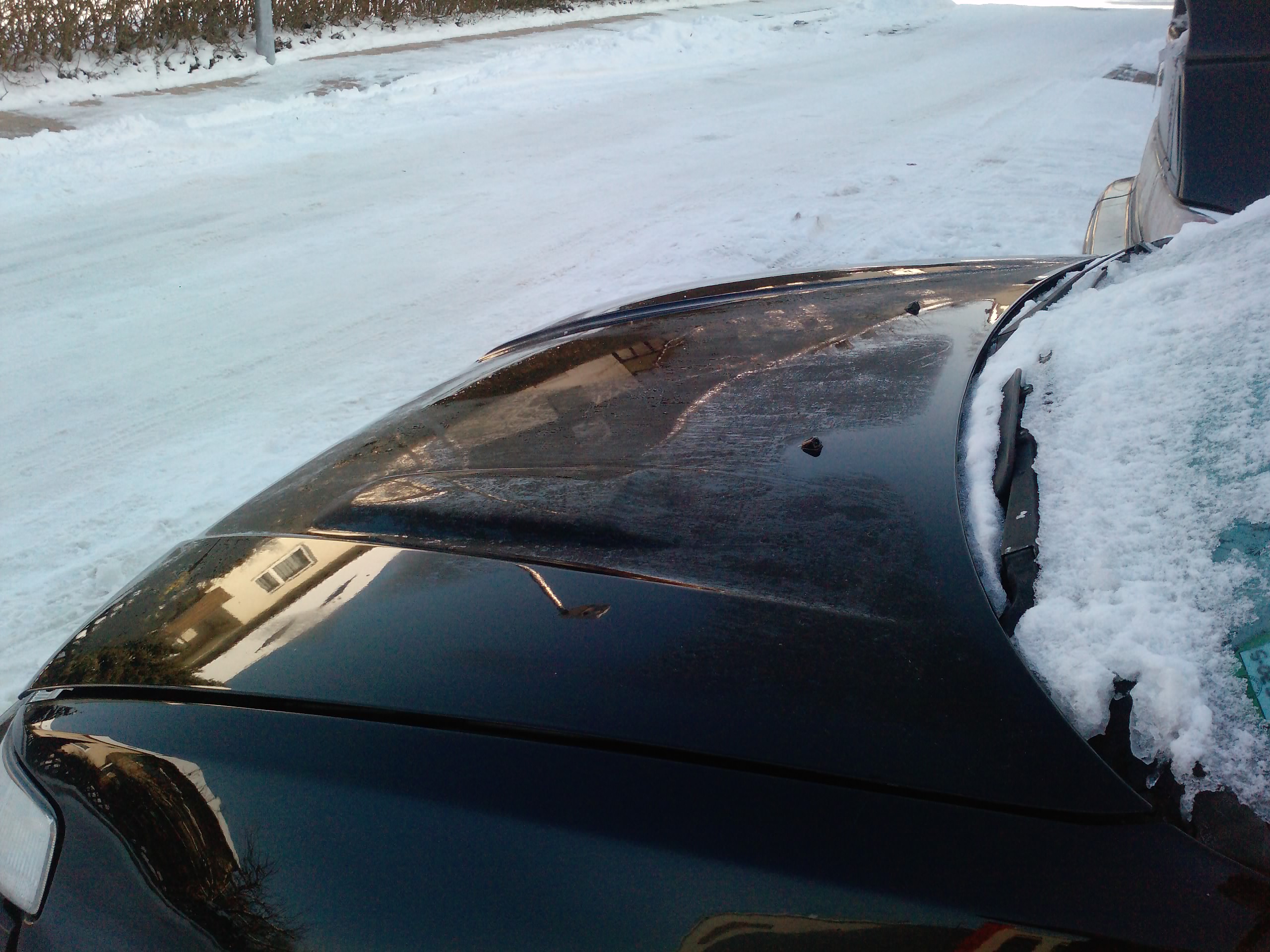 P1131_16-02-10.JPG