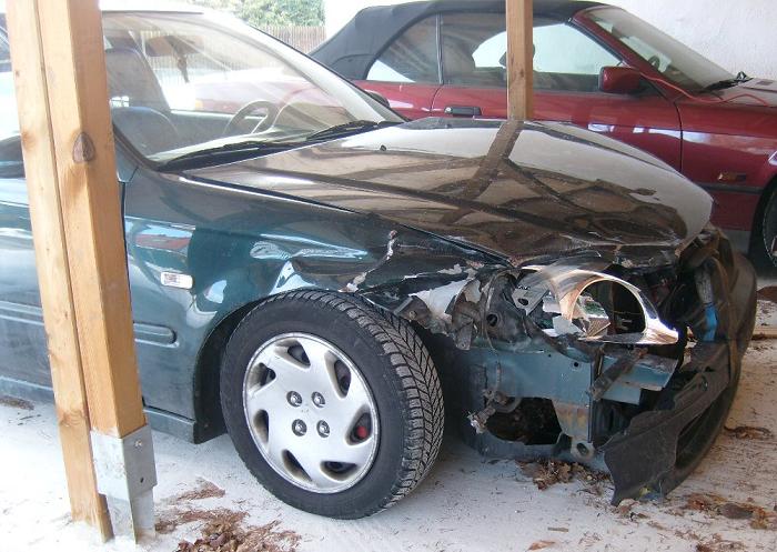 S7304656web.JPG