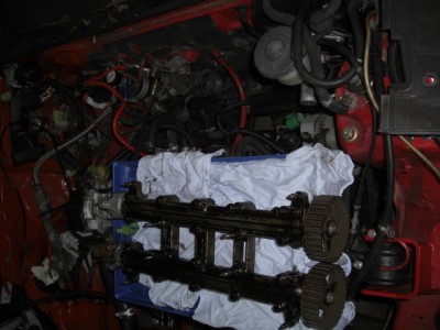 CIMG3177.JPG