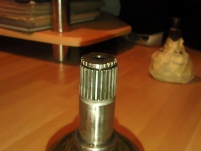 Foto009J.jpg