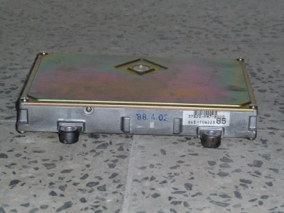 P1000428.JPG