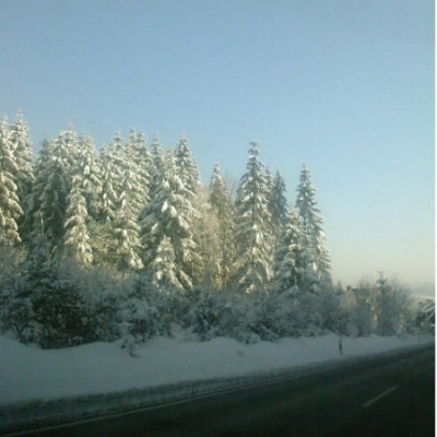 Winter1.jpg