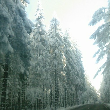 Winter3.jpg
