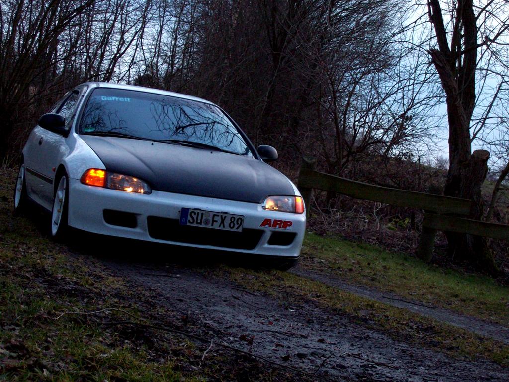 3 Daily 03.03.2010 (Large).JPG