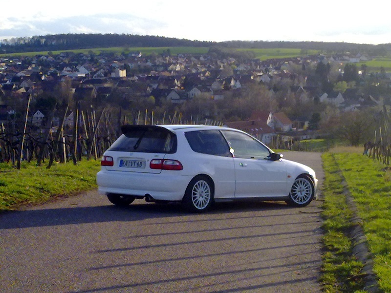 Bild315.jpg