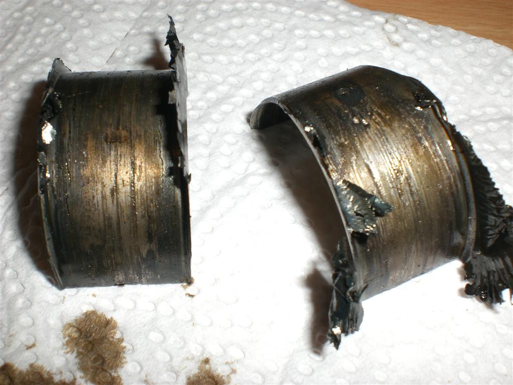 CIMG2788 (Large).JPG