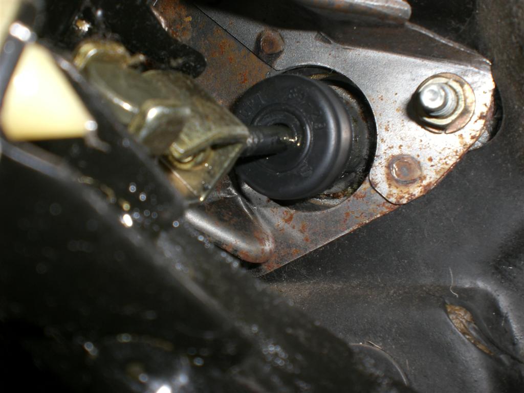 CIMG2800 (Large).JPG